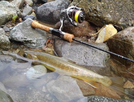 土砂降りの雨に逃げ帰る ～九頭竜川水系～